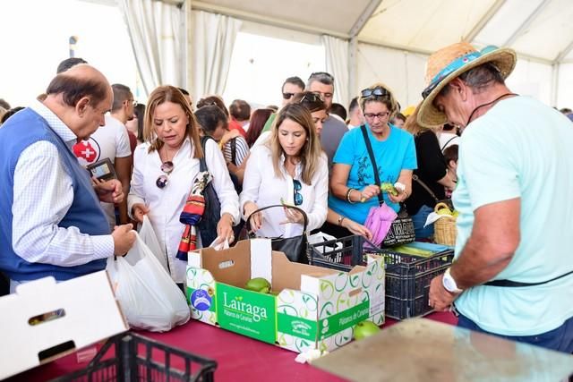 II Feria del Aguacate en Arguineguín