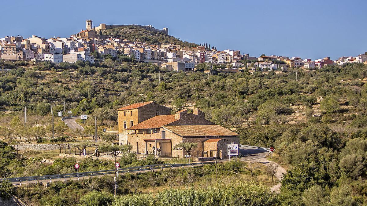 Vídeo: Ruta de oleoturismo en Castellón