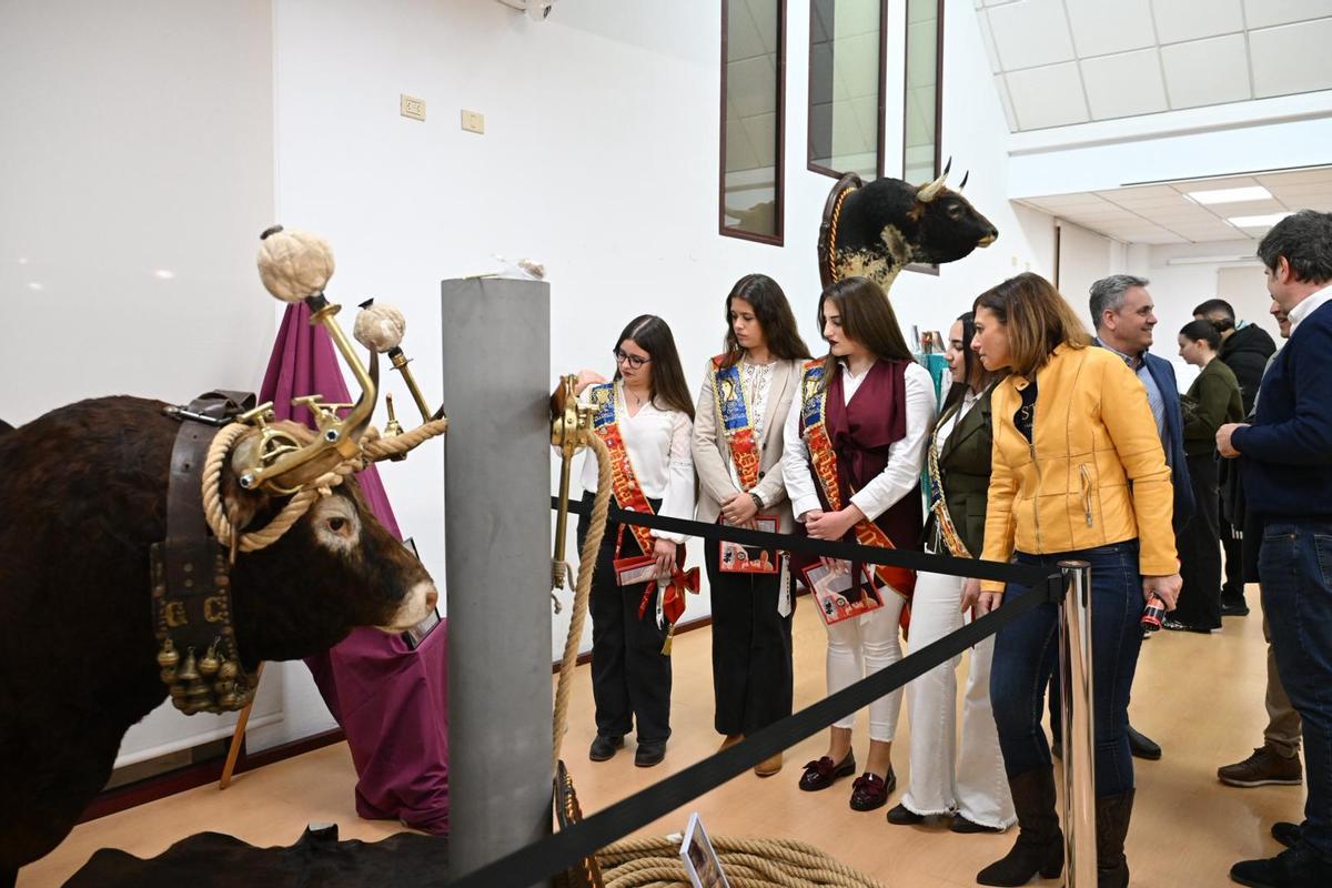 Exposición taurina en el Espai Mercat, como homenaje al arte y a la pasión que rodean el mundo del toro