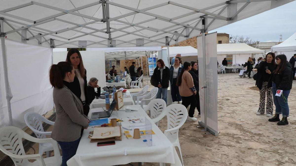 Puestos de empresas e interesados en buscar trabajo en la feria. | C.C.