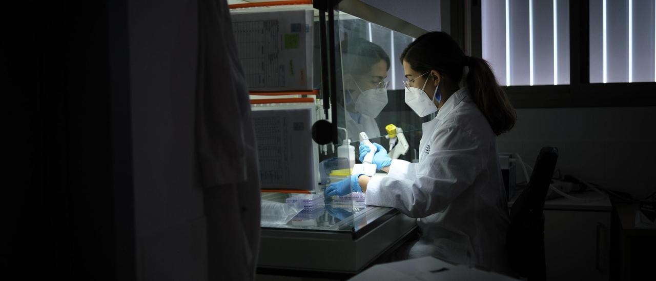 Una científica trabajando en el Instituto de Enfermedades Tropicales y Salud Pública de Canarias