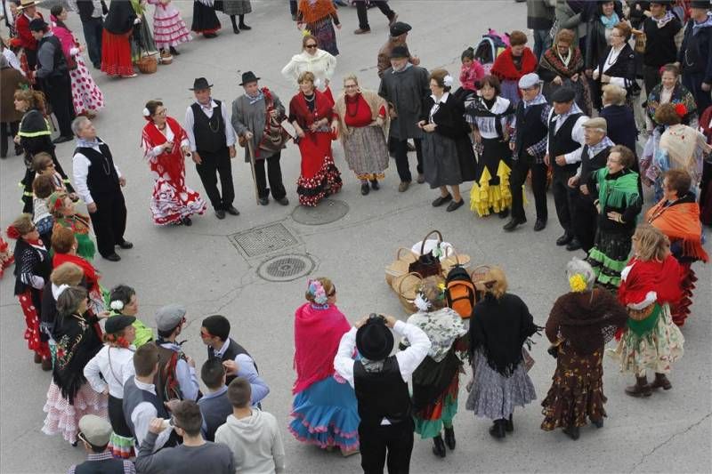 La fiesta de la patatera de Malpartida de Cáceres en imágenes