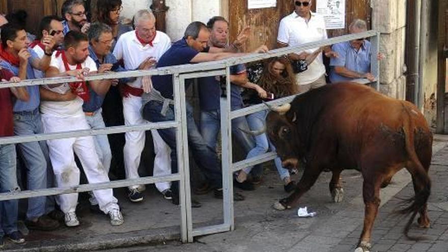 Imagen del encierro ayer en Cuéllar, Segovia, donde falleció un hombre.