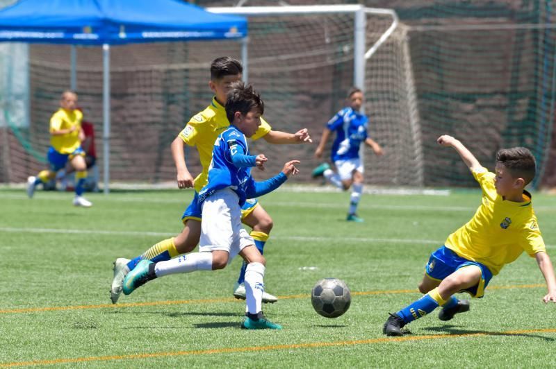 17-06-2018 SAN BARTOLOMÉ DE TIRAJANA. Finales de las Copas de Campeones prebenjamines y benjamines. Fotógrafo: ANDRES CRUZ  | 17/06/2018 | Fotógrafo: Andrés Cruz