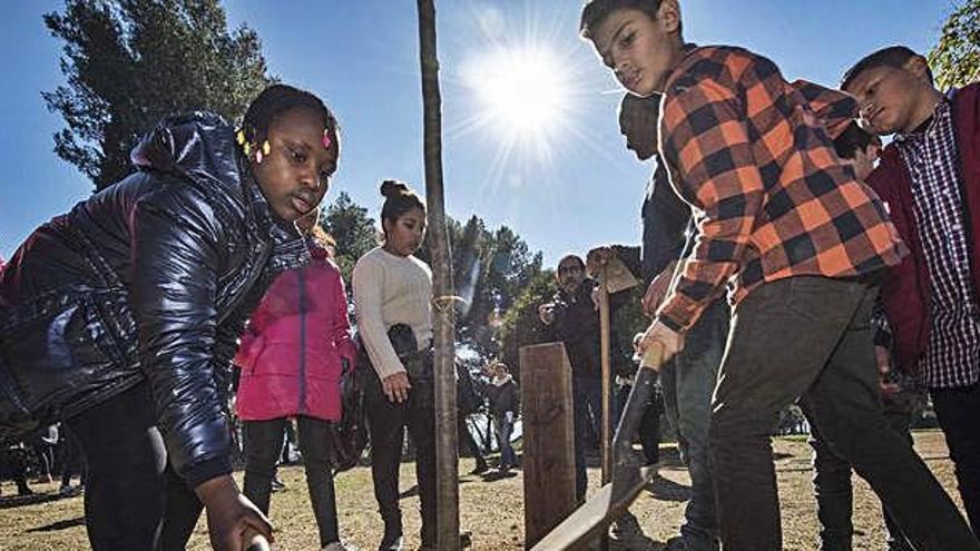 Inauguren una ruta botànica al parc de Puigterrà per fer-hi una àrea verda