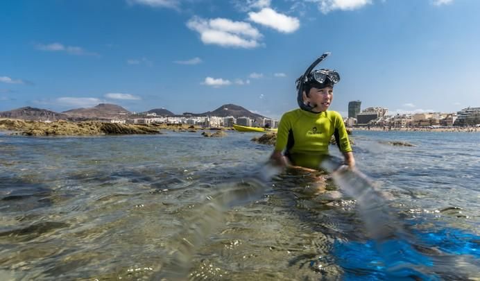 Las Canteras, refugio de vida