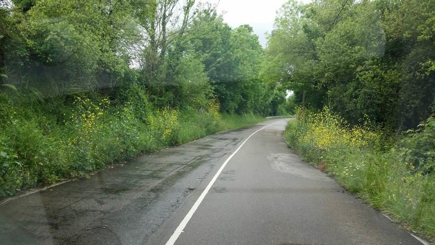 Estado de un tramo de la carretera de Veguín a San Esteban.