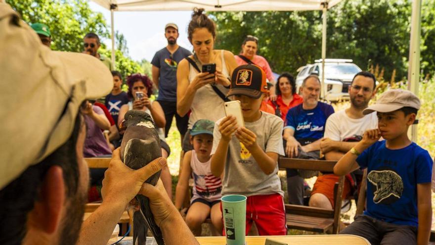 La Festa del Riu de Manresa apropa la biodiversitat del Cardener al públic familiar