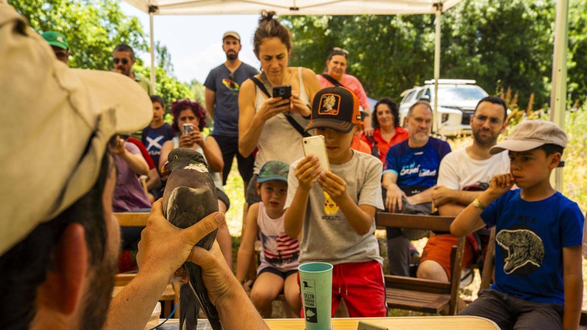 Les imatges de la Festa del Riu de Manresa