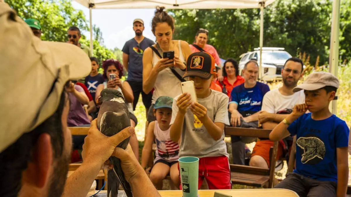 La Festa del Riu de Manresa apropa la fauna del Cardener al públic familiar