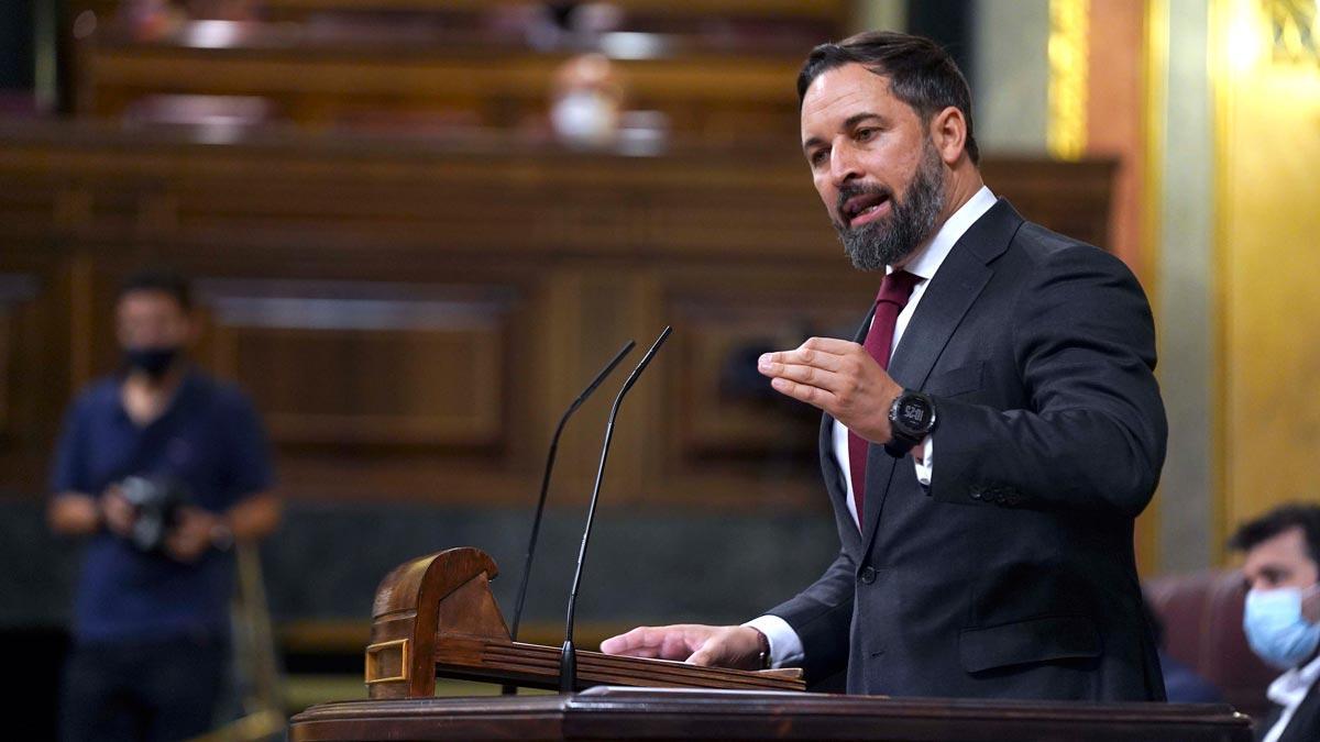 abascal-elecciones