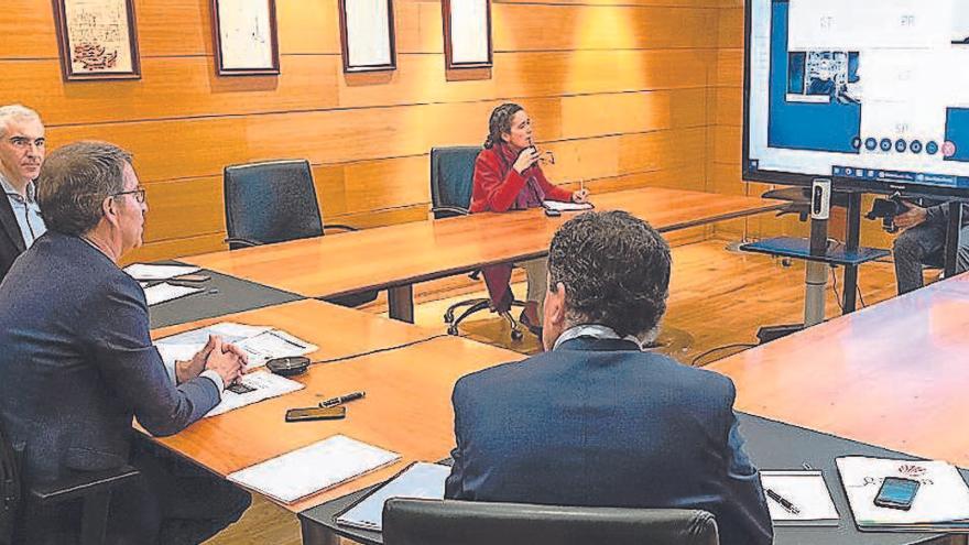 Un momento de la reunión telemática entre la Xunta y el sector turístico gallego, ayer.