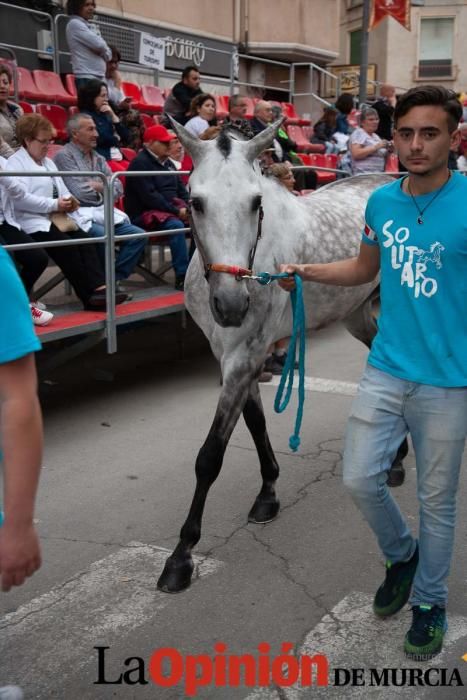 Caballos del Vino: Concurso morfológico (salida Pl