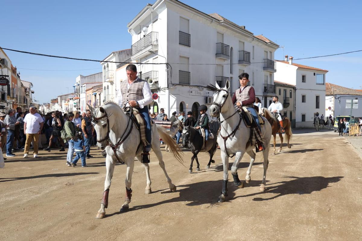 Los caballos en Arroyo de la Luz.
