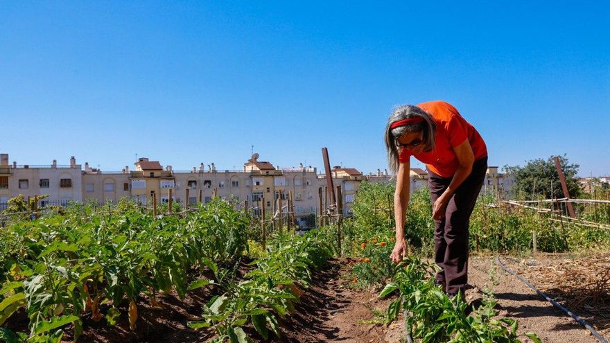 El Ayuntamiento de Córdoba oferta 183 nuevas plazas de huertos urbanos en Asomadilla, Miralbaida y Levante