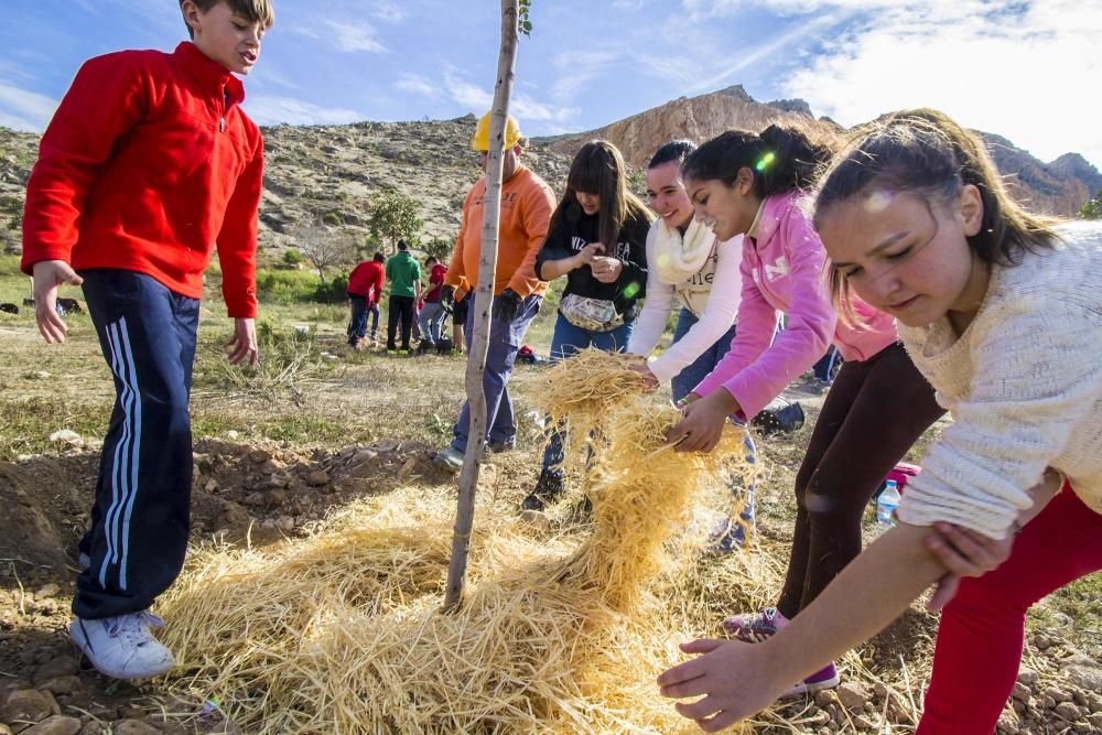 Proyecto para convertir la cantera de Cox en zona verde