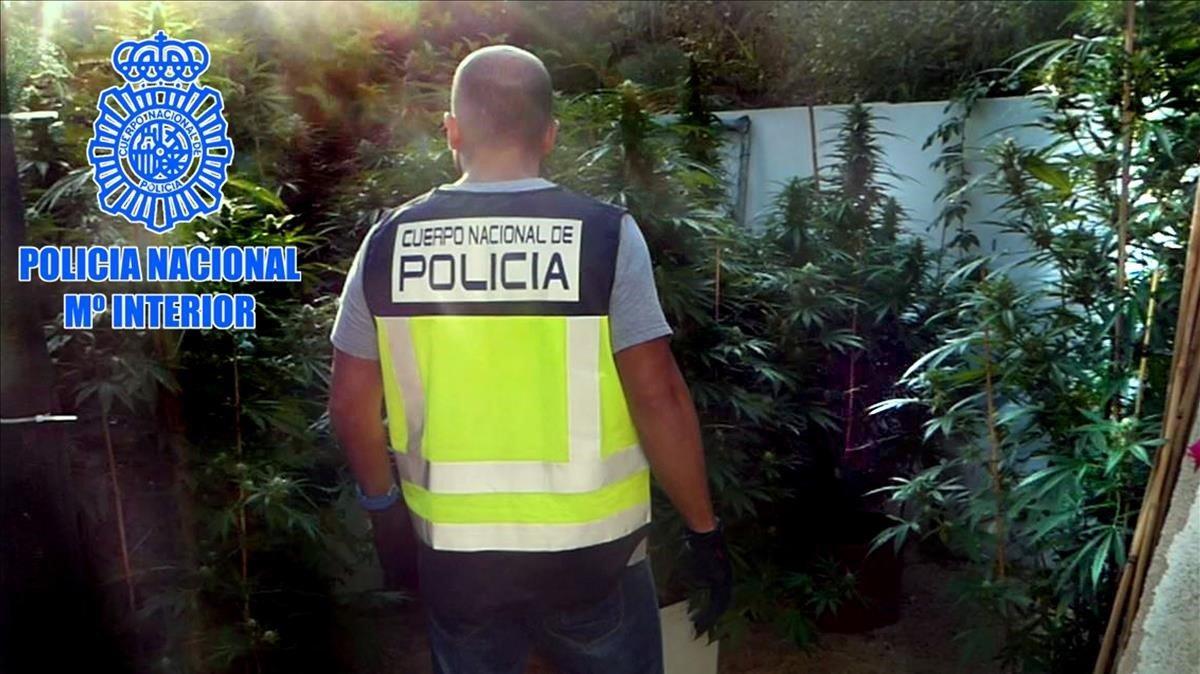 rjulve45423513 pla obert d un agent de la policia espanyola en el desmantel181011133158 rjulve45423513 pla obert d un agent de la policia espanyola en el desmantel181011133158