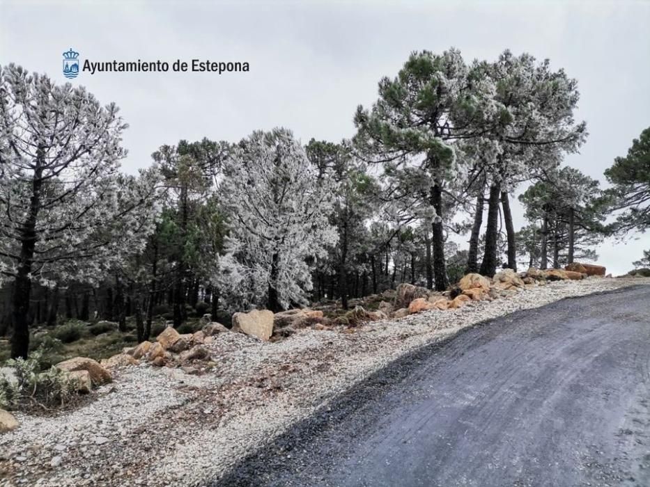 Nieve en Sierra Bermeja