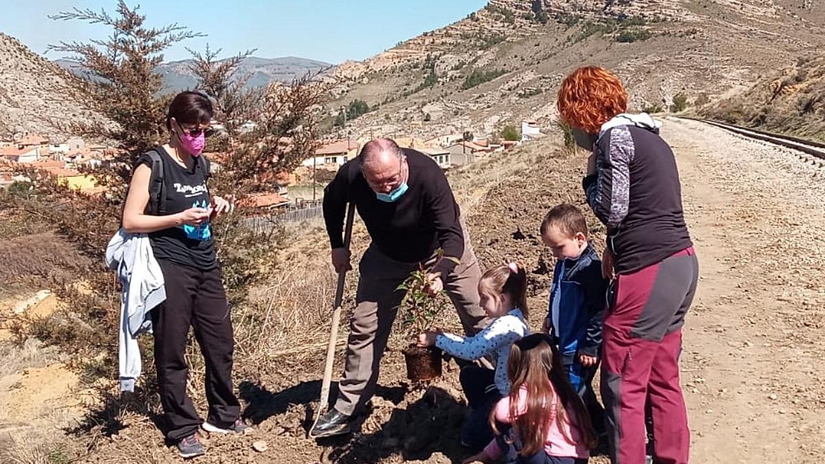 Un momento de la plantación de árboles en la edición del año pasado