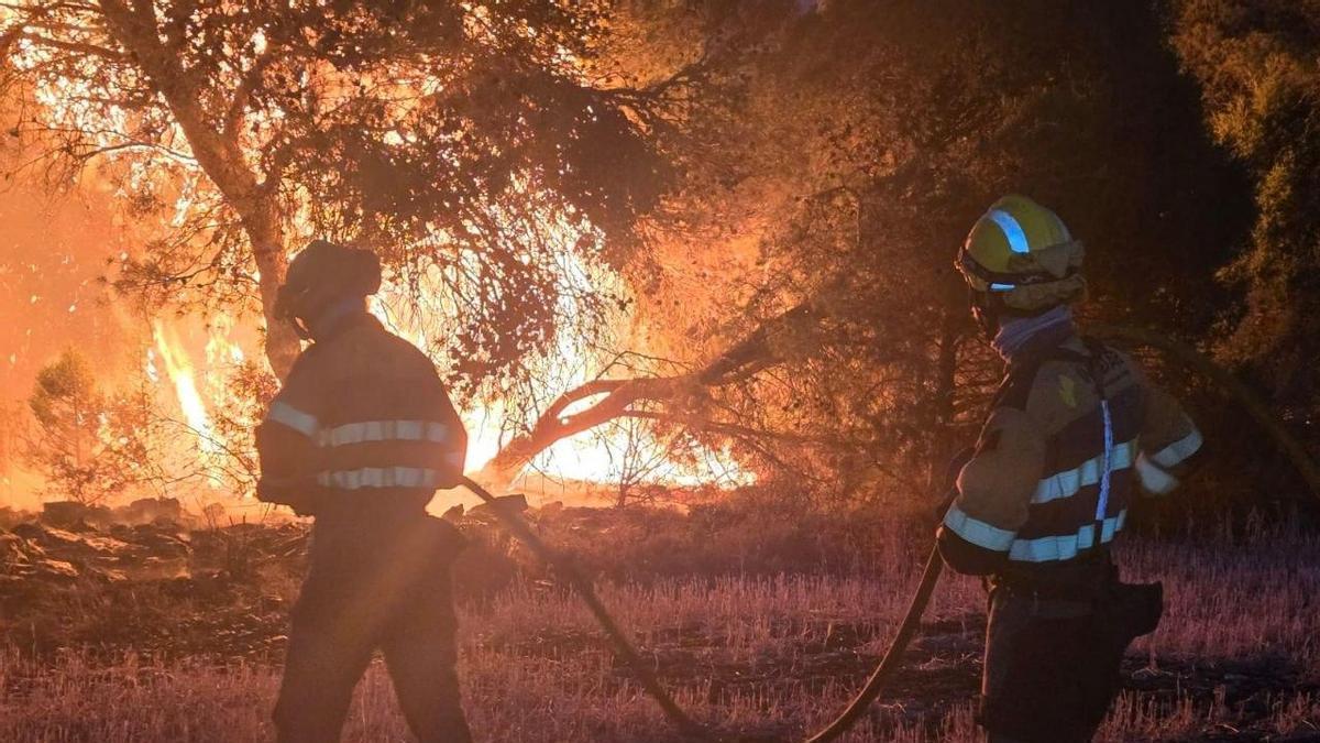 Els bombers d'Aragó lluitant contra les flames aquesta nit a Leciñena