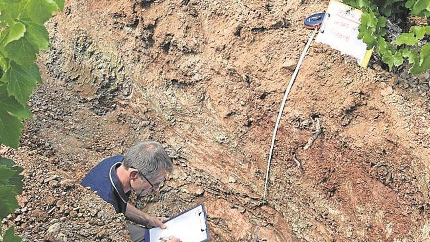 La DOP analiza sus ‘terroirs’ para sacar el máximo potencial a sus vinos