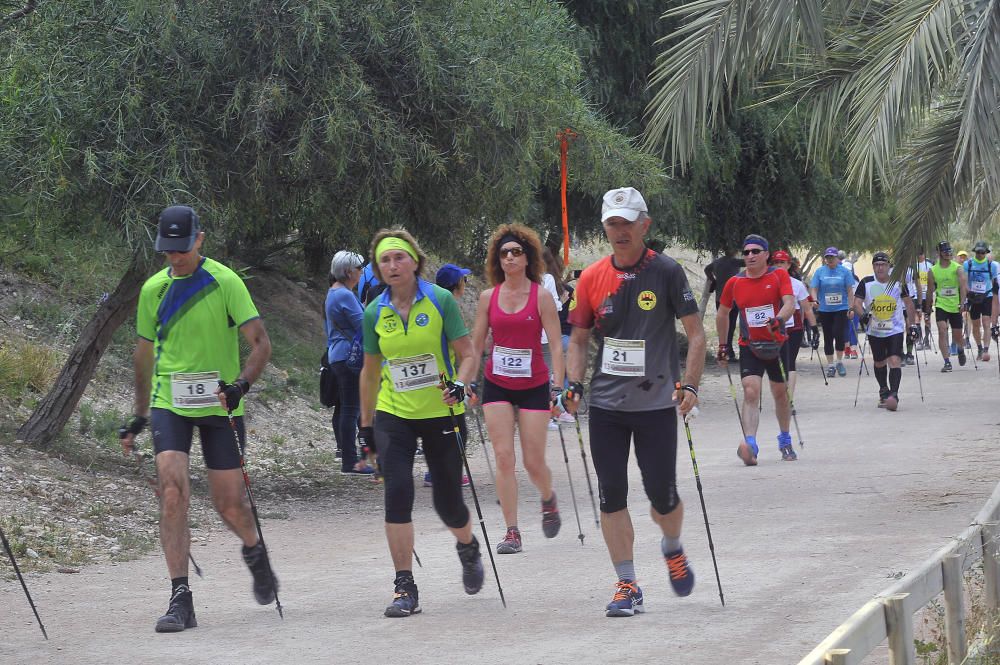 La marcha nórdica se abre paso entre palmeras en Elche.