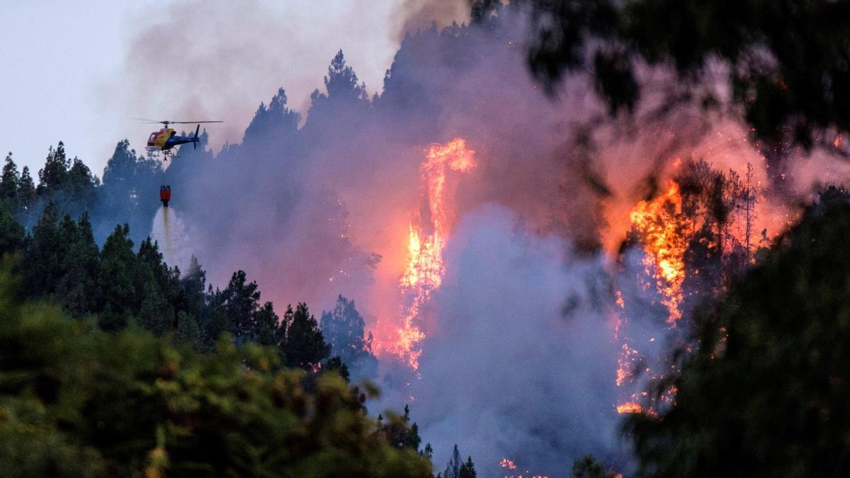Un helicóptero intenta sofocar las llamas en el incendio forestal de Gran Canaria en 2019.