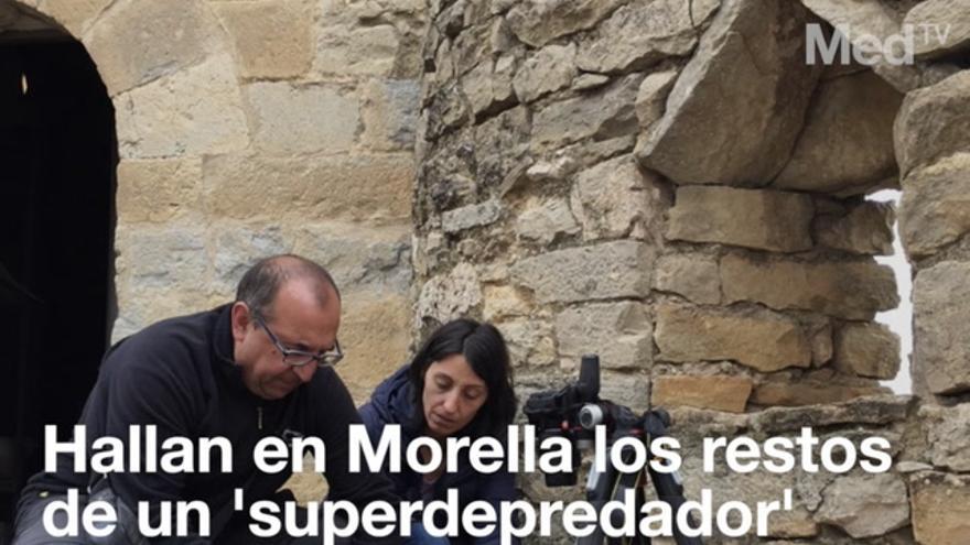 Hallan en Morella los restos de un 'superdepredador' del Cretácico