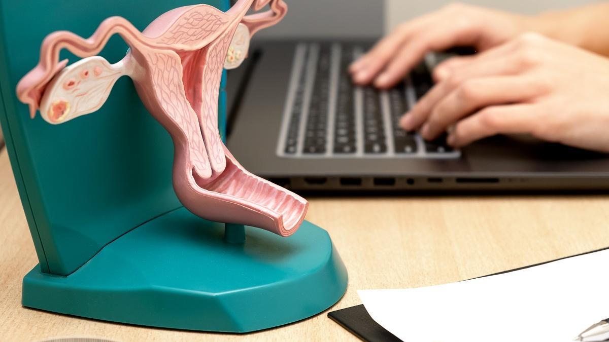 Servicio de Ginecología Quirónsalud Tenerife