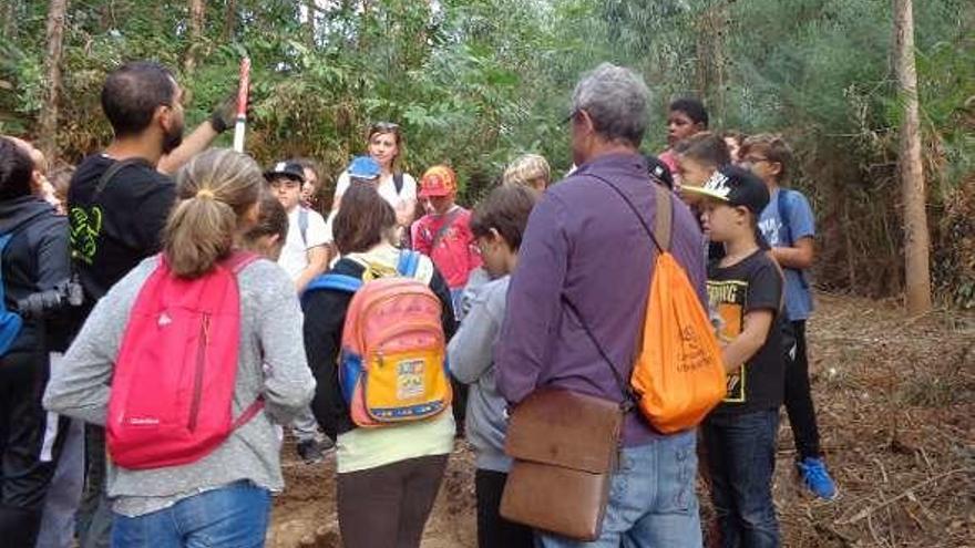 Hallazgos e incógnitas en el castro de Reboredo