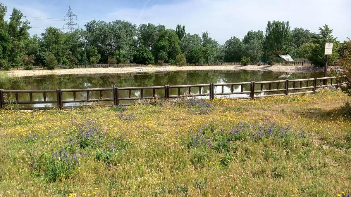 Parque Forestal Adolfo Suárez