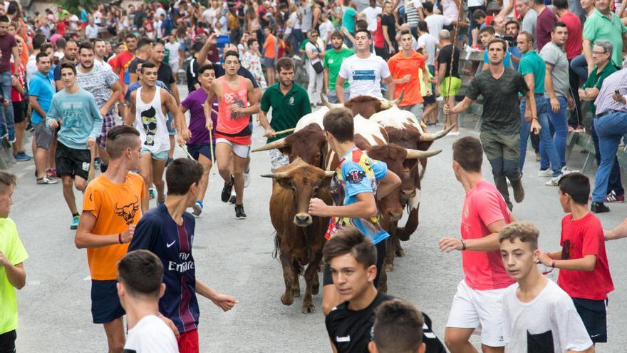 Decenas de jóvenes recorrieron las calles junto con cuatro becerras.