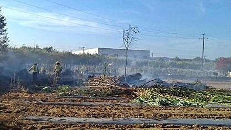 Un foc crema 700 metres quadrats de canyes a Blanes