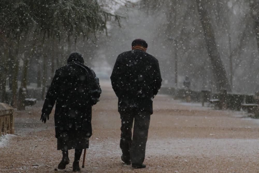 Primera nevada en Zamora capital