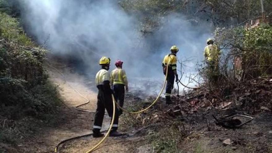 Cremen 300 metres quadrats de vegetació darrere el cementiri de Tossa