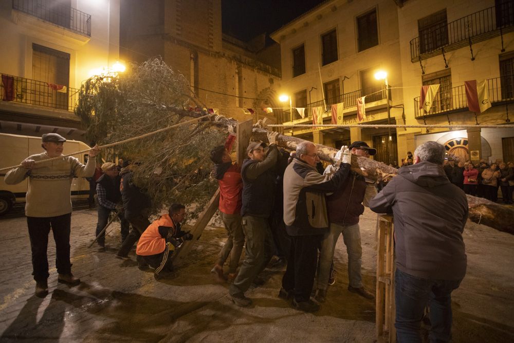 Sant Antoni arranca en Sagunt con la tradicional Plantà del Pi