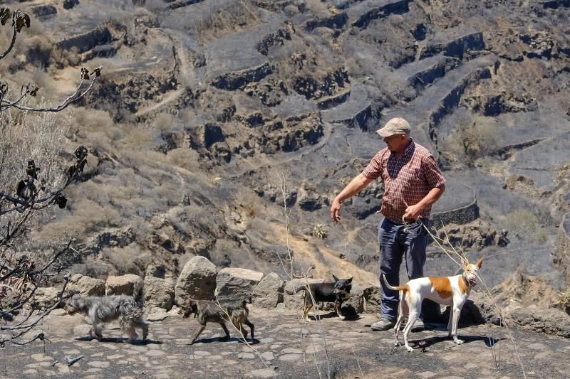 Consecuencias del incendio: De Valleseco a Artenar