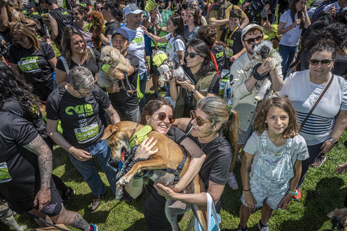 CAN WE RUN BARCELONA. La carrera organizada por Prensa Ibérica y El Periódico de Catalunya con la colaboración de Sport ,  donde las personas y sus mascotas perrunas corren en familia