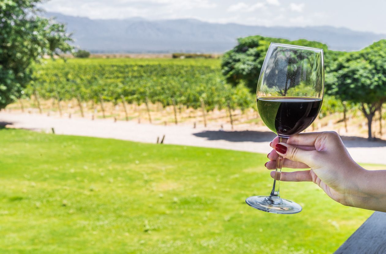 Imagen de una copa de vino con un fondo de viñedos.