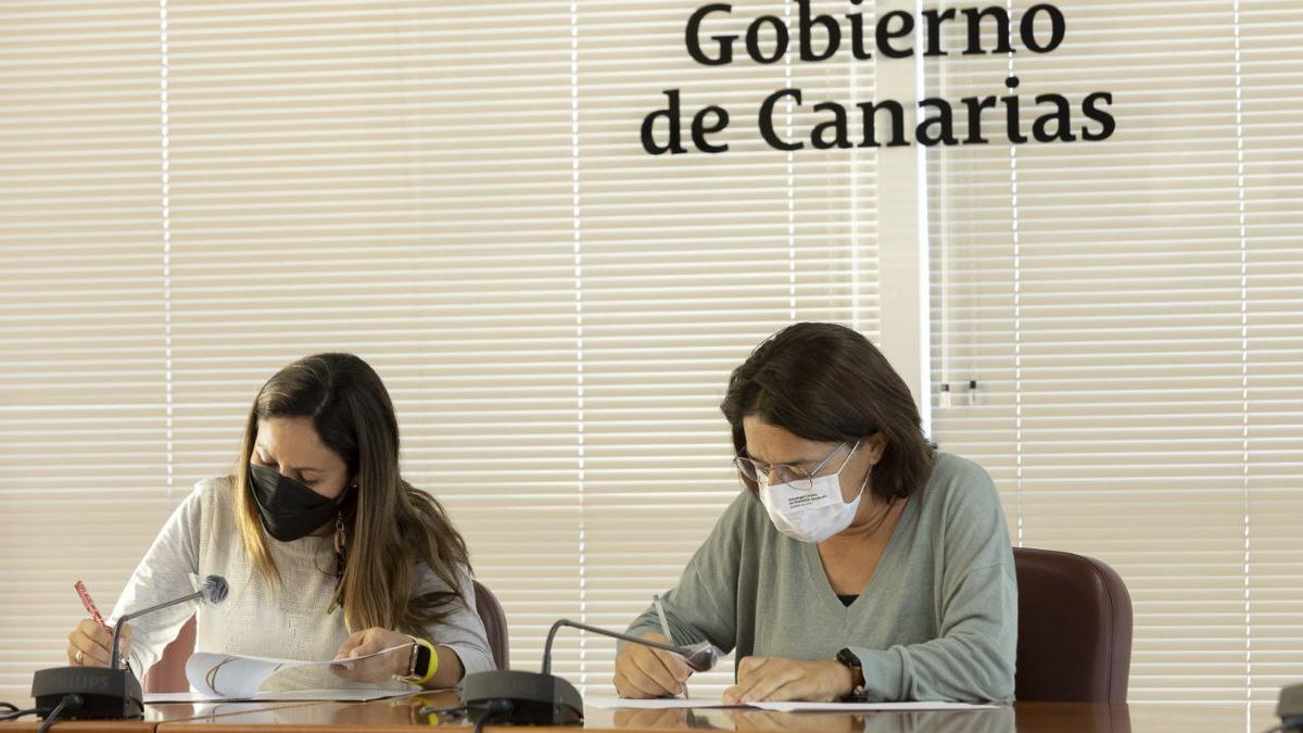 El colegio de trabajo social se suma a la Estrategia Canaria de Transición Igualitaria