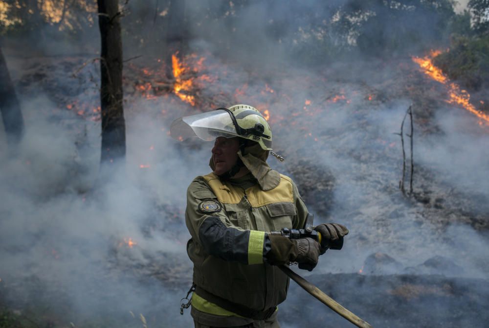 Los servicios de emergencia intentan sofocar las llamas por tierra y por aire.