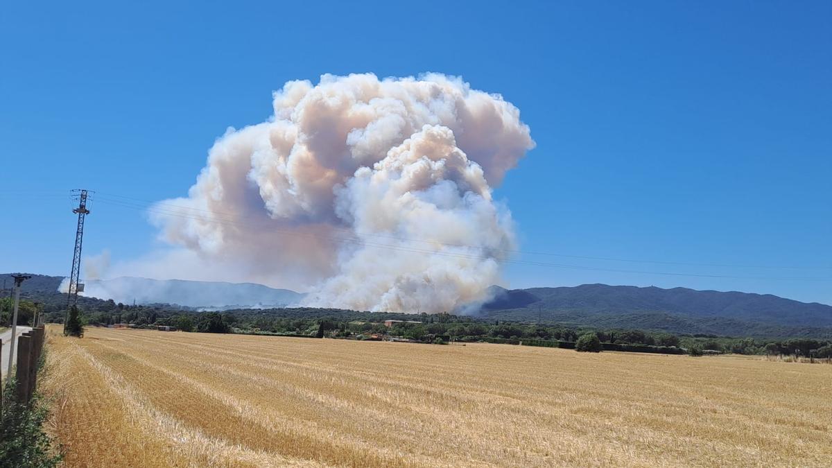 Crema sense control un incendi forestal a peu de les Gavarres a la Bisbal Crema sense control un incendi forestal a peu de les Gavarres a la Bisbal