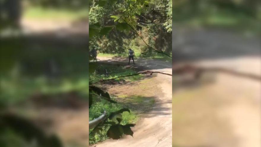 El vídeo de un aficionado (que se hizo viral en redes) acaba con la detención del autor de un accidente en el Rallye Princesa
