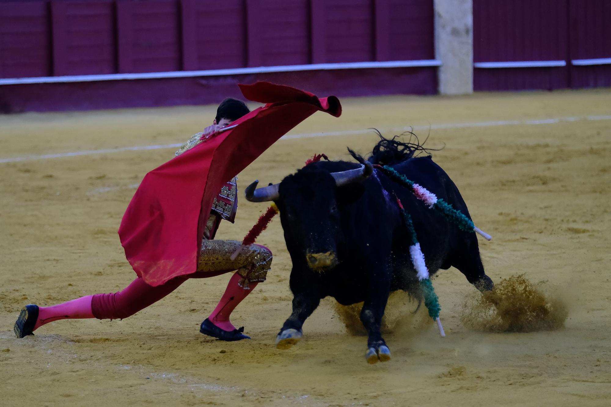 XVI Certamen Internacional de Escuelas Taurinas La Malagueta