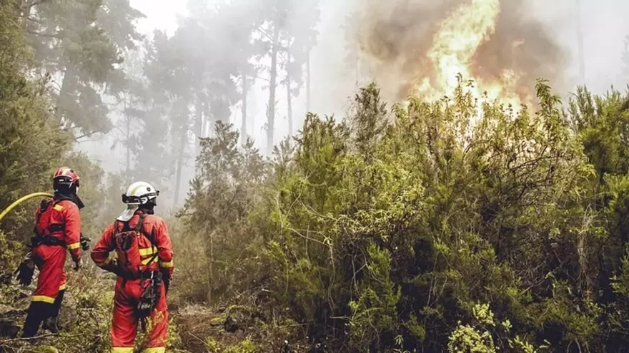 El incendio de Tenerife baja de nivel y el Cabildo asume la dirección para su extinción