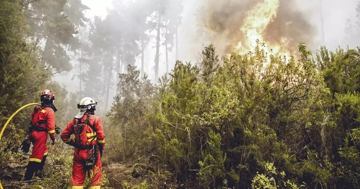 El fuego arrasa el 8% de la isla de Tenerife, sobre todo masa forestal de zonas protegidas