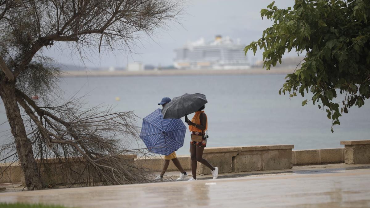 El tiempo en Mallorca: Alerta naranja por fuertes lluvias y tormentas