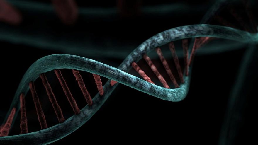 Genes relacionados con la hibernación habrían creado &quot;superpoderes&quot; aún sin explotar en el ser humano