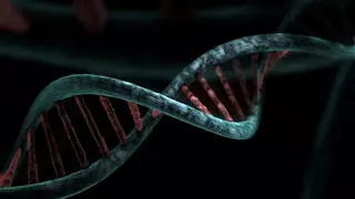 Genes relacionados con la hibernación habrían creado "superpoderes" aún sin explotar en el ser humano