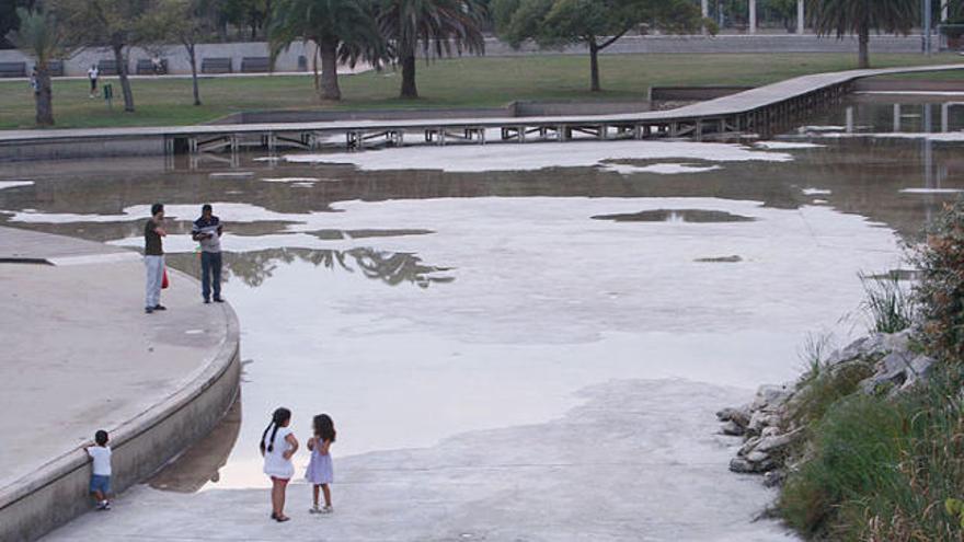 L&#039;operació de neteja i manteniment de l&#039;estany artificial es repeteix després d&#039;un any.